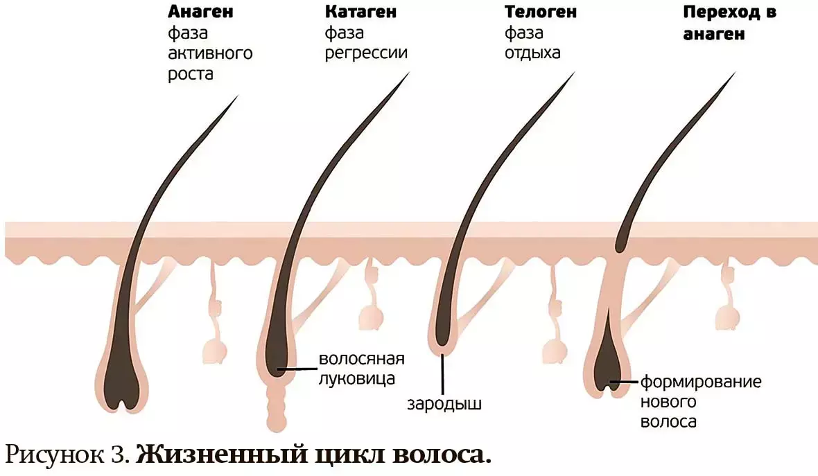 bvcvc6555