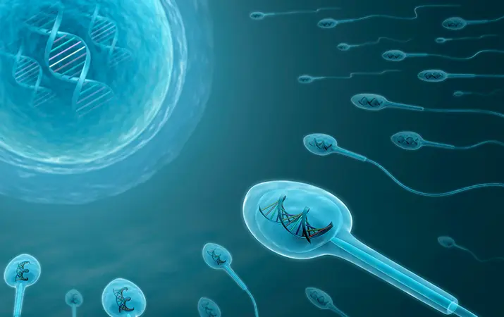 Генетические причины мужского бесплодия: как выбрать наиболее точный анализ повреждений ДНК сперматозоидов?