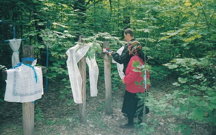 cxde43