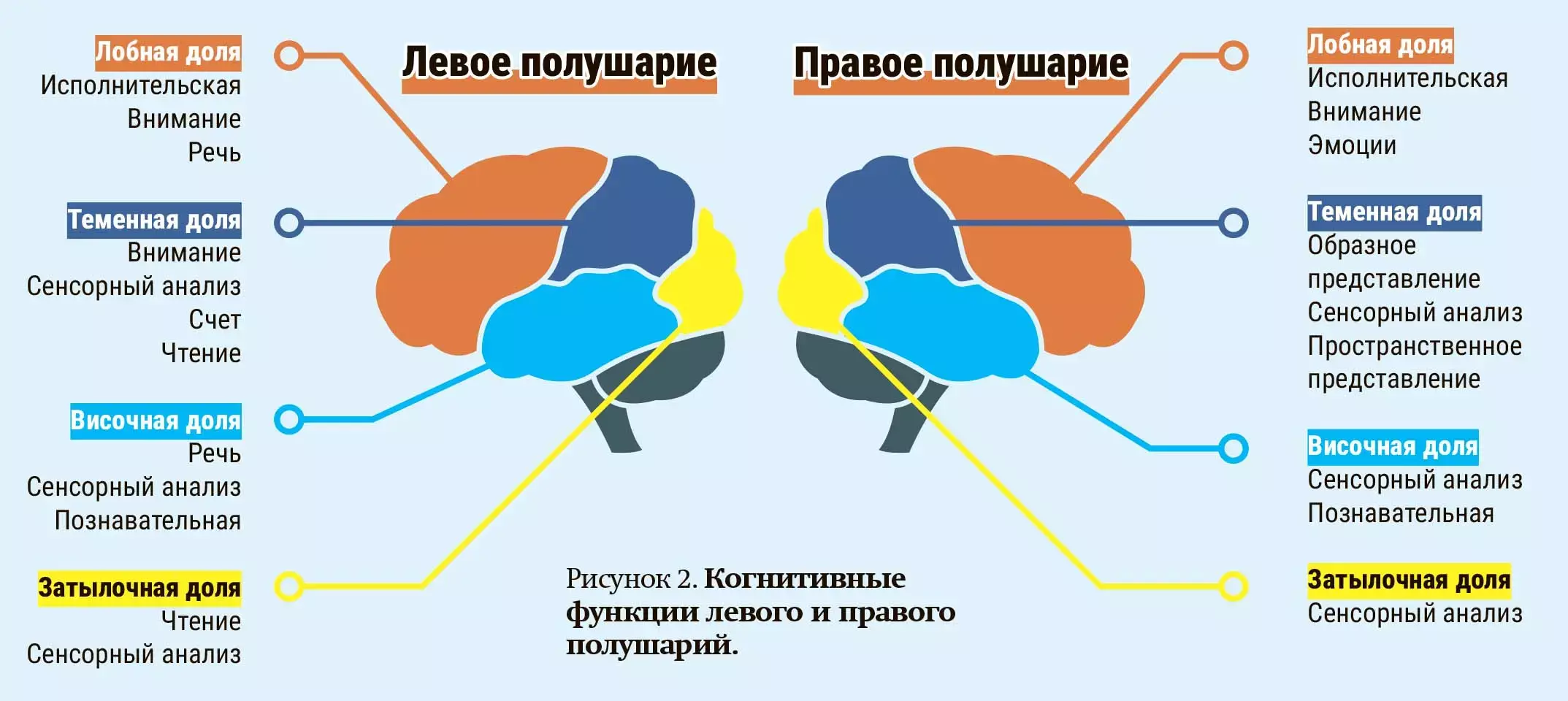 da33x22x