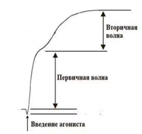hvhghy676