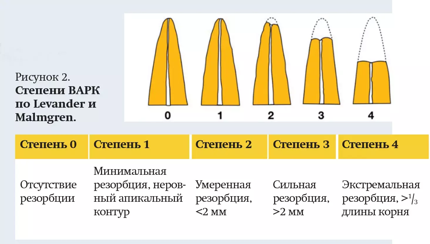 jdjuyluydlu