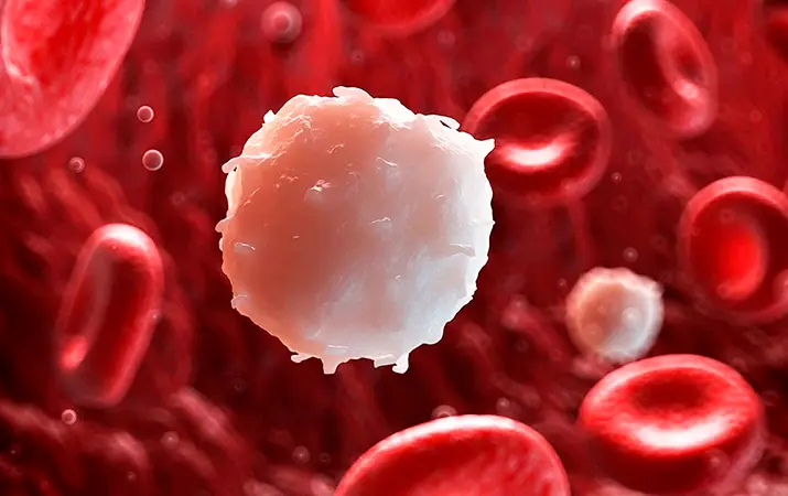 Повышенные лейкоциты в крови у мужчин: причины и симптомы