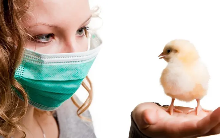 Птичий грипп